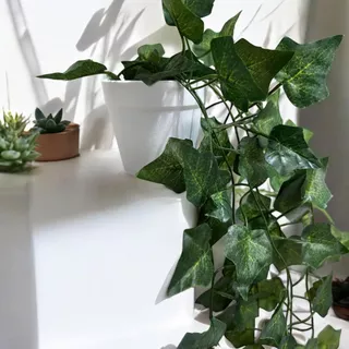Combo 2 Kits: Planta Decorativa + Vaso Branco Liso com Hera Artificial 1 Pendente