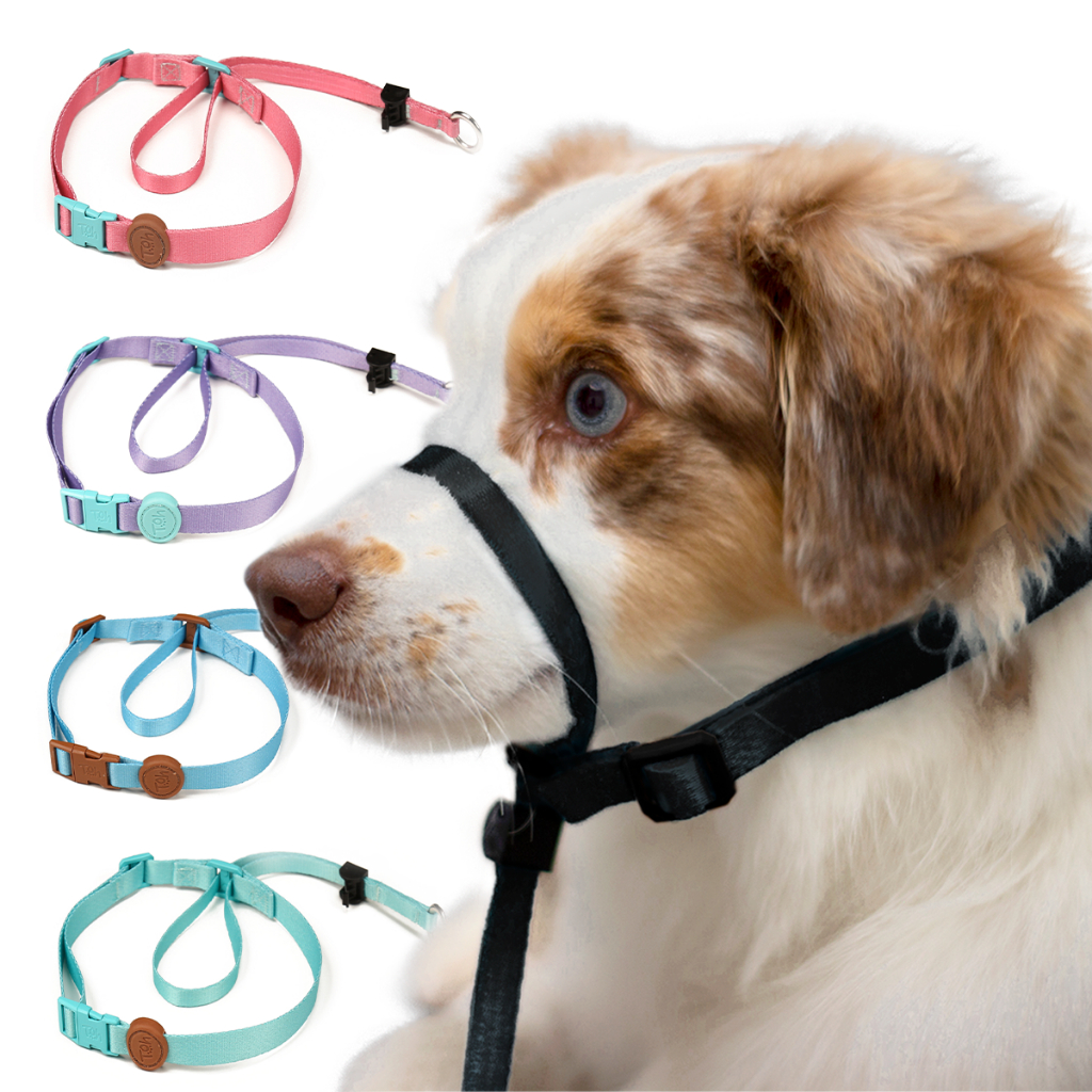 Coleira Cabresto para Cachorro Adestramento Pet Alta Qualidade - Detalhes