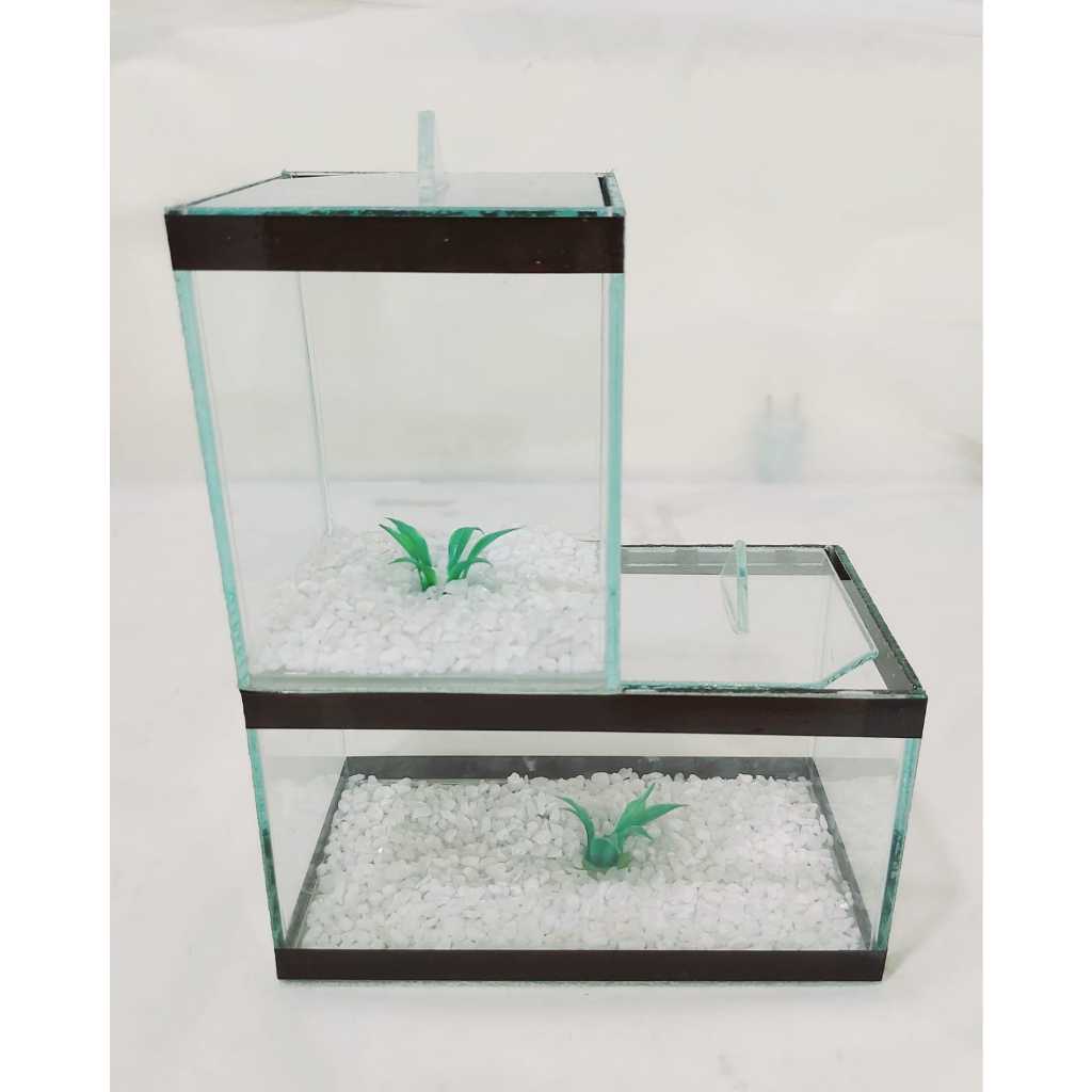 Aquário Beteira Duplo Duplex Dois Andares Com Pedras Brancas e Planta - Cores