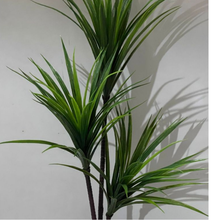 Yucca Artificial