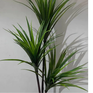 Yucca Artificial