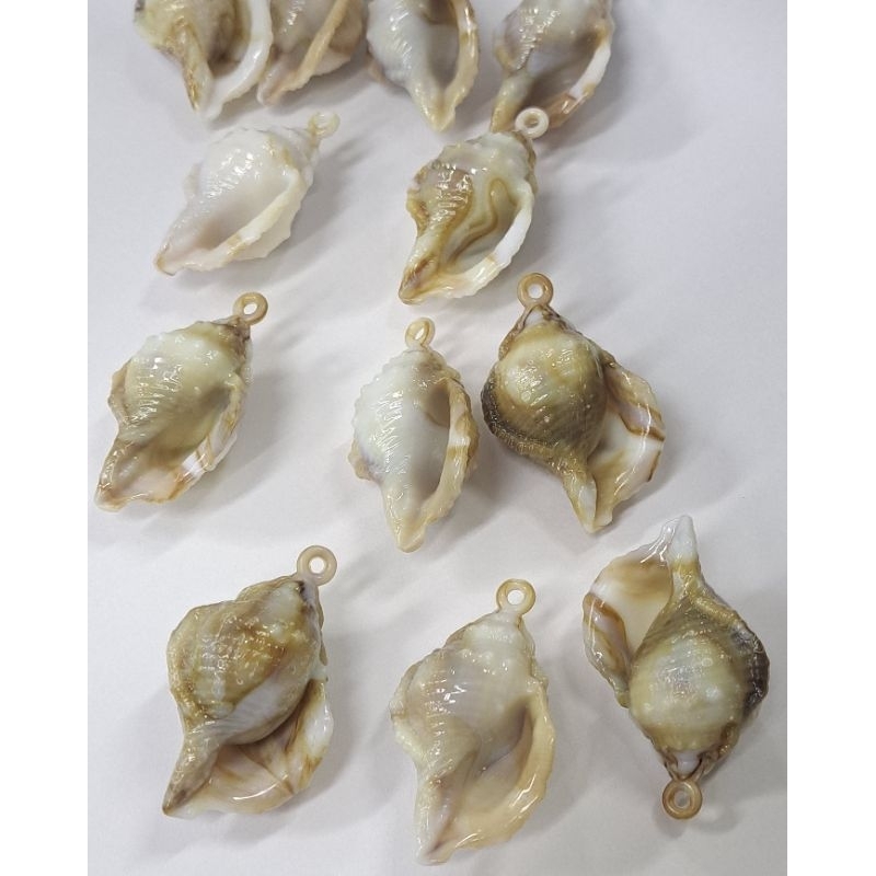 Pingente Concha Do Mar Cor Natural 3×4.5 CM 10 unidades Grandes