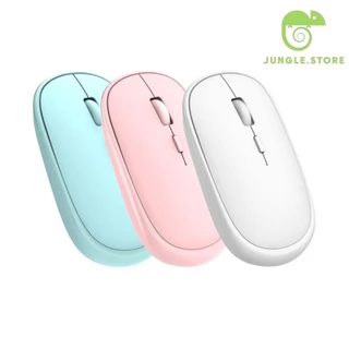 Mouse Sem Fio Optico Slim + Adaptador Wireless