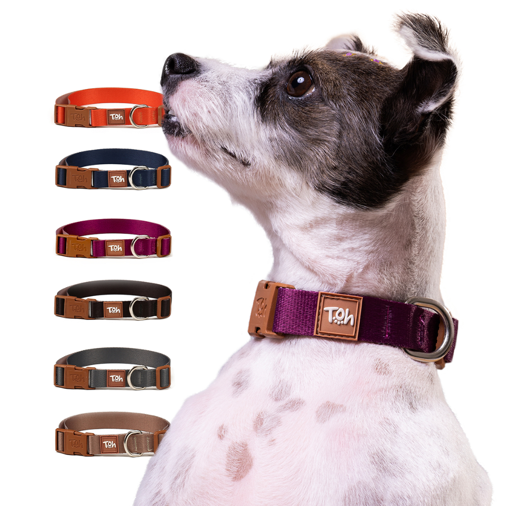Coleira para Cachorro Avulsa Basic Pet Toh Dog