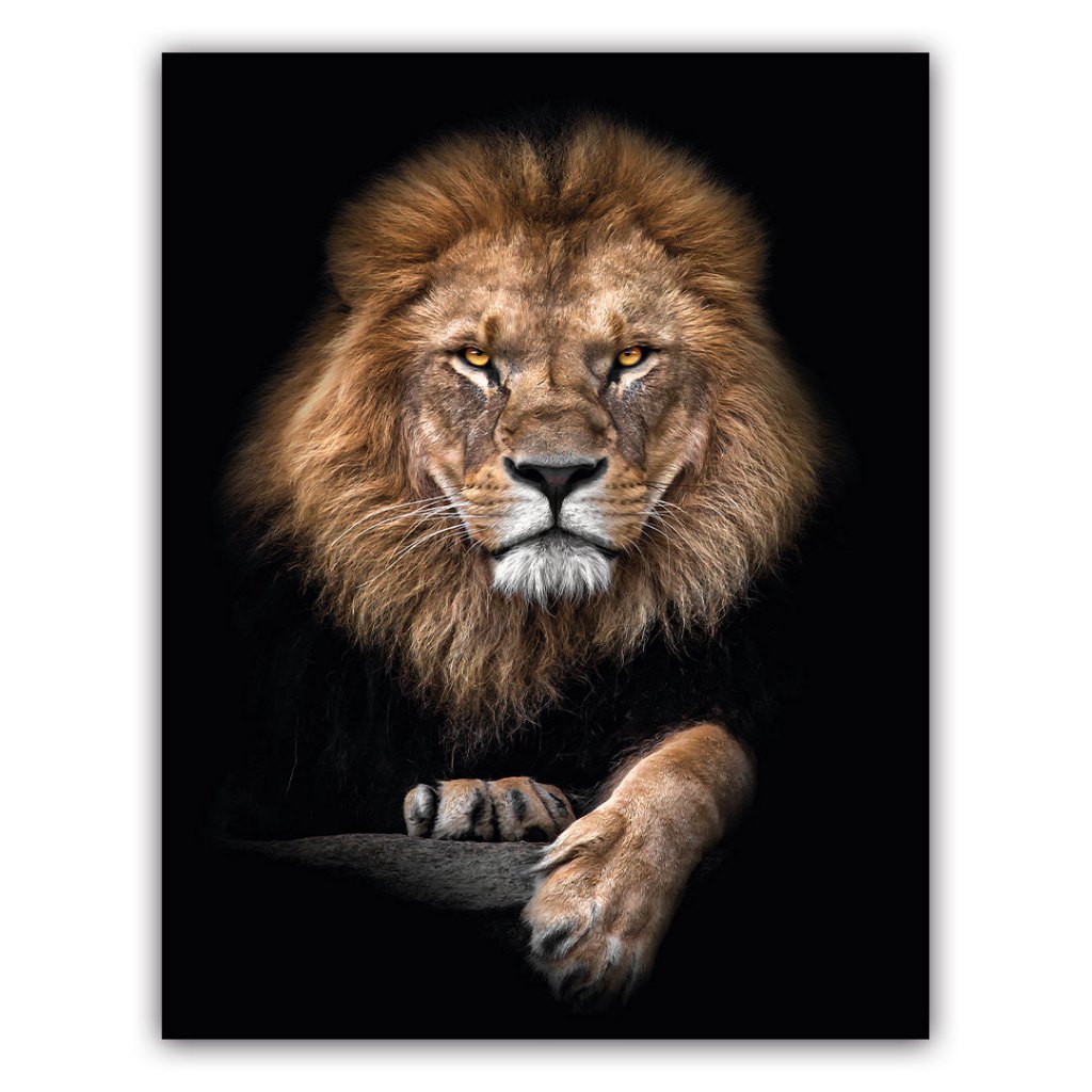 Quadro Leão Elegante Tamanho Gigante Grande 90x60 Com Fita Dupla Face