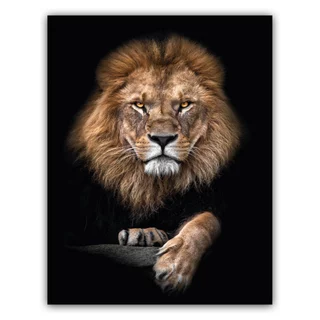 Quadro Leão Elegante Tamanho Gigante Grande 90x60 Com Fita Dupla Face