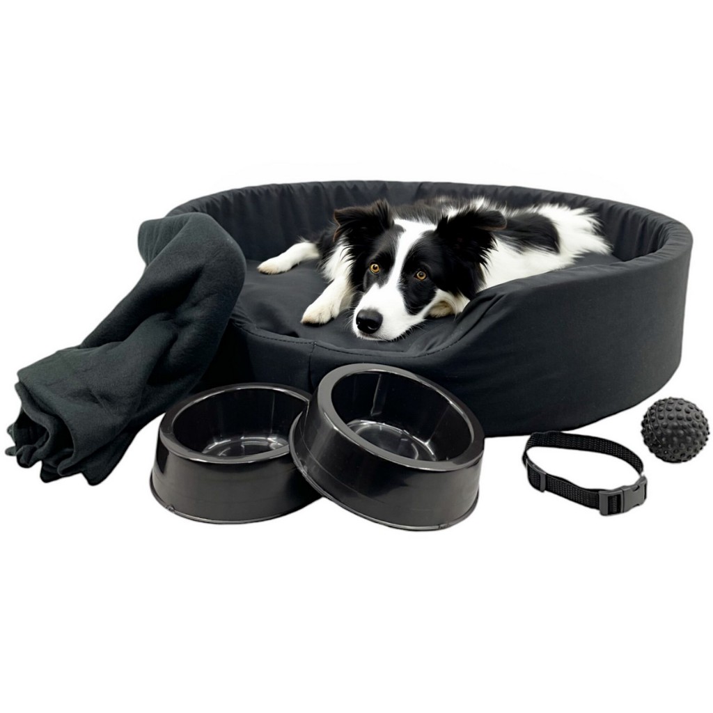 Kit Pet Grande Porte Cama Europa com Mantinha e Acessórios Fofos