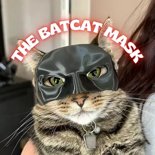 The BATCAT Mask Máscara Batman Para seu Gato Cosplay Morcego Fantasia Halloween Dia Das Bruxas