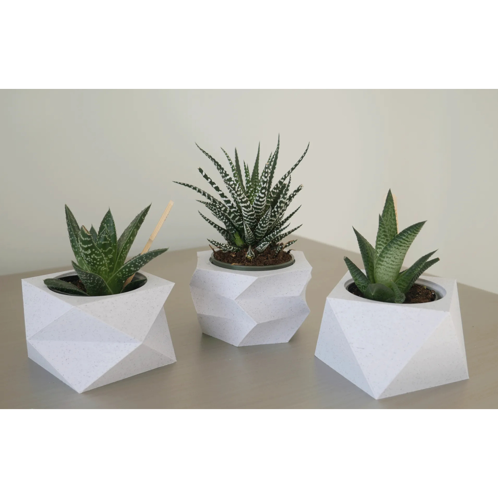 Kit 3 Unidades Vaso decorativo para Suculentas, Cactus e Plantas