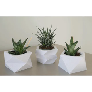 Kit 3 Unidades Vaso decorativo para Suculentas, Cactus e Plantas