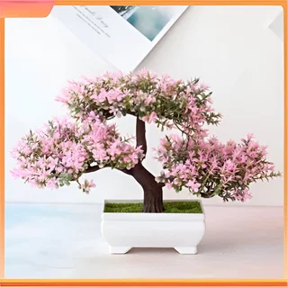 Planta Falsa Bonsai em Vaso Pequeno Decoração de Interiores