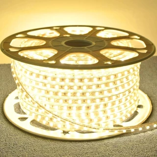 1 a 10 Metros Fita Mangueira Led 5050 Branco Frio/Quente 220v de + Fonte de Alimentação/Rabicho