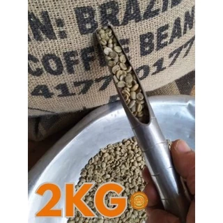 Café Arábica Especial em Grãos Selecionado Cru 2kg - Safra 2024, Direto do Produtor para Torra