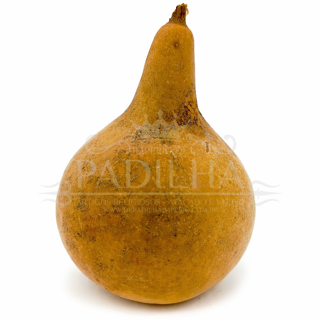 Cabaça Porongo Pequena Cuia Purunga Natural | Shopee Brasil