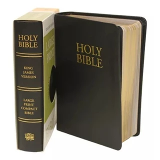 駿河屋 -【アダルト】<中古>Bible Black コンプリートBOX [限定