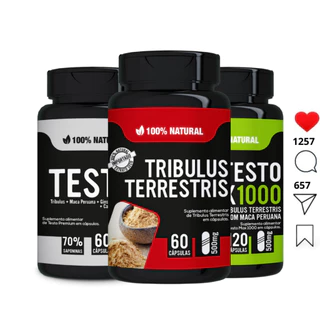 Kit Dos Sonhos 3 Testo Premium Maca Tribullus 240 Cáps