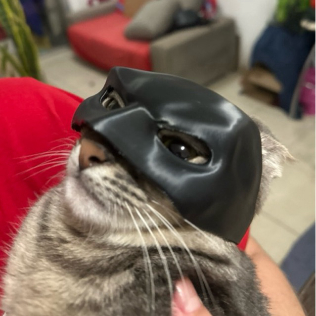 Máscara De Gato Murciélago 3D – Disfraz De Batcat Para Halloween Y Cosplay
