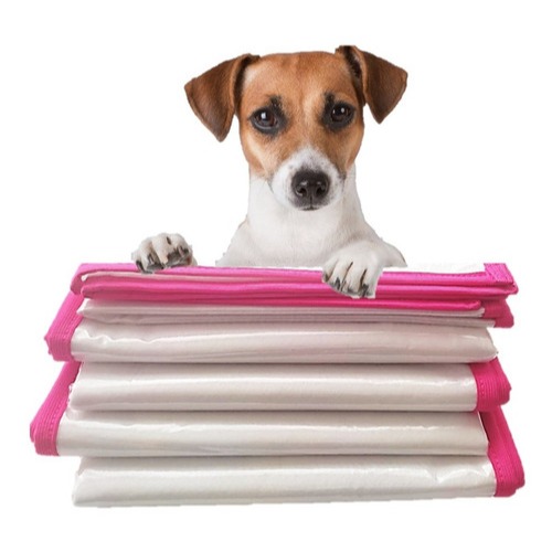 Tapete Higienico Pet Lavável Rosa Premium Reutilizável Super Absorvente