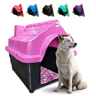 Casinha Cachorro Plastica Numero 8 Com Colchão Colchonete
