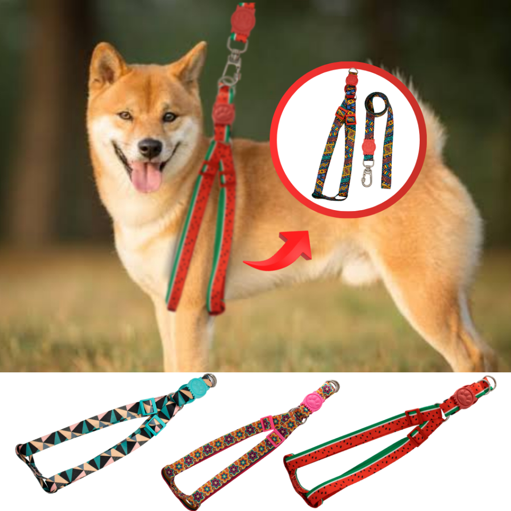 Peitoral Coleira super reforçada para cachorros de médio e grande porte