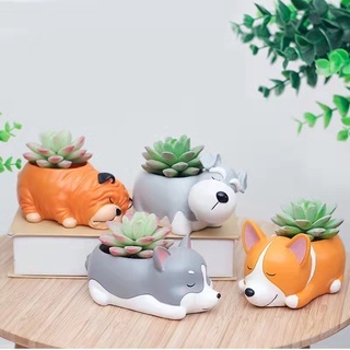 Vaso Para Suculenta Em Forma De Cachorrinhos(01795)