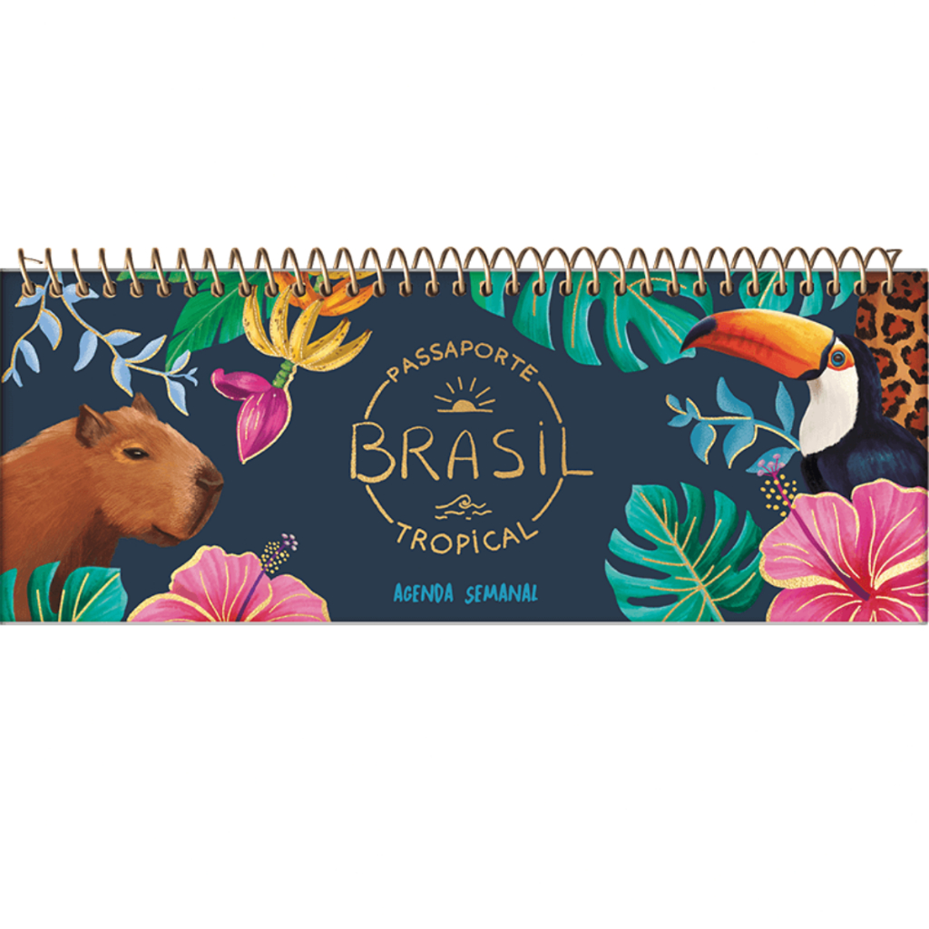 AGENDA SEMANAL 2025 BRASIL JANDAIA 104 PÁGINAS CAPA DURA ESPIRAL DIÁRIO 300 X 115 MM Shopee Brasil