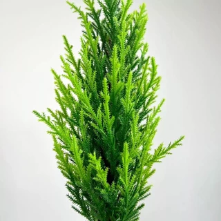 Árvore De Natal Artificial, Elegante Pinheiro Feito Á Mão, Decoração -XX801840