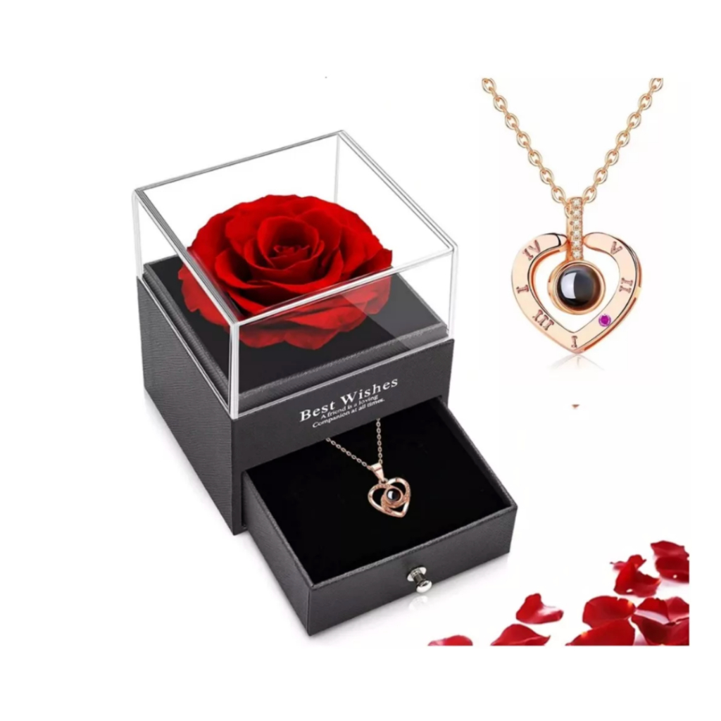 Presente Feminino Rosa Eterna Romântico + Colar 100 Idiomas Esposa ...
