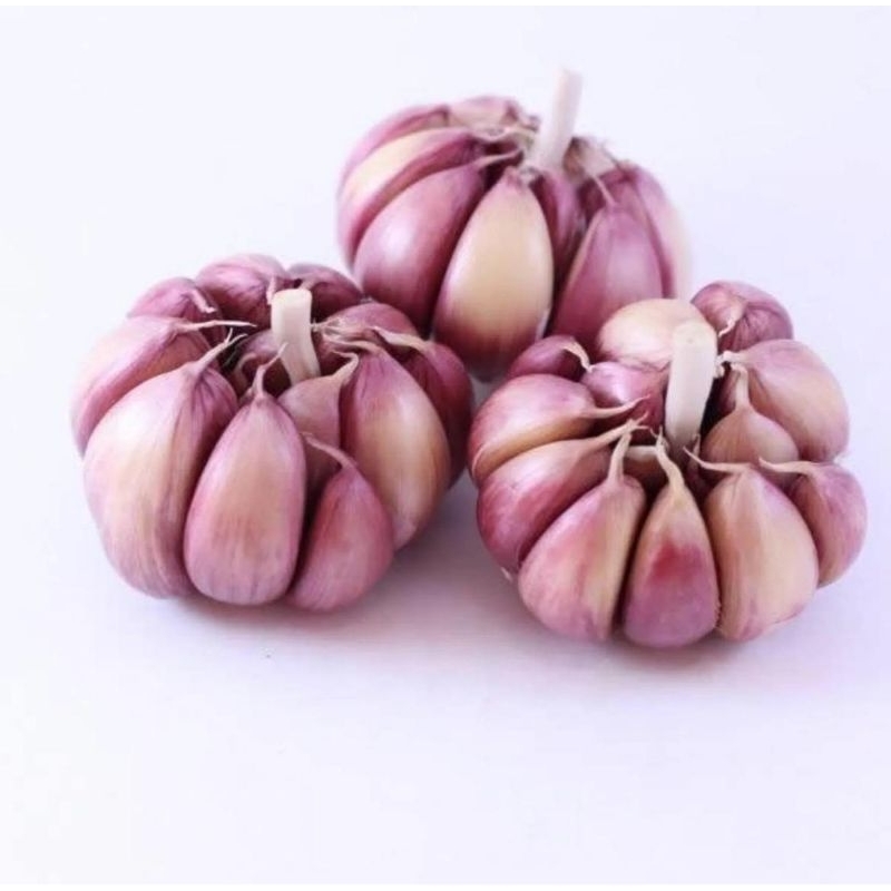 1/2 Kg Alho Roxo a Granel em Cabeças. (SUPER OFERTA)! | Shopee Brasil
