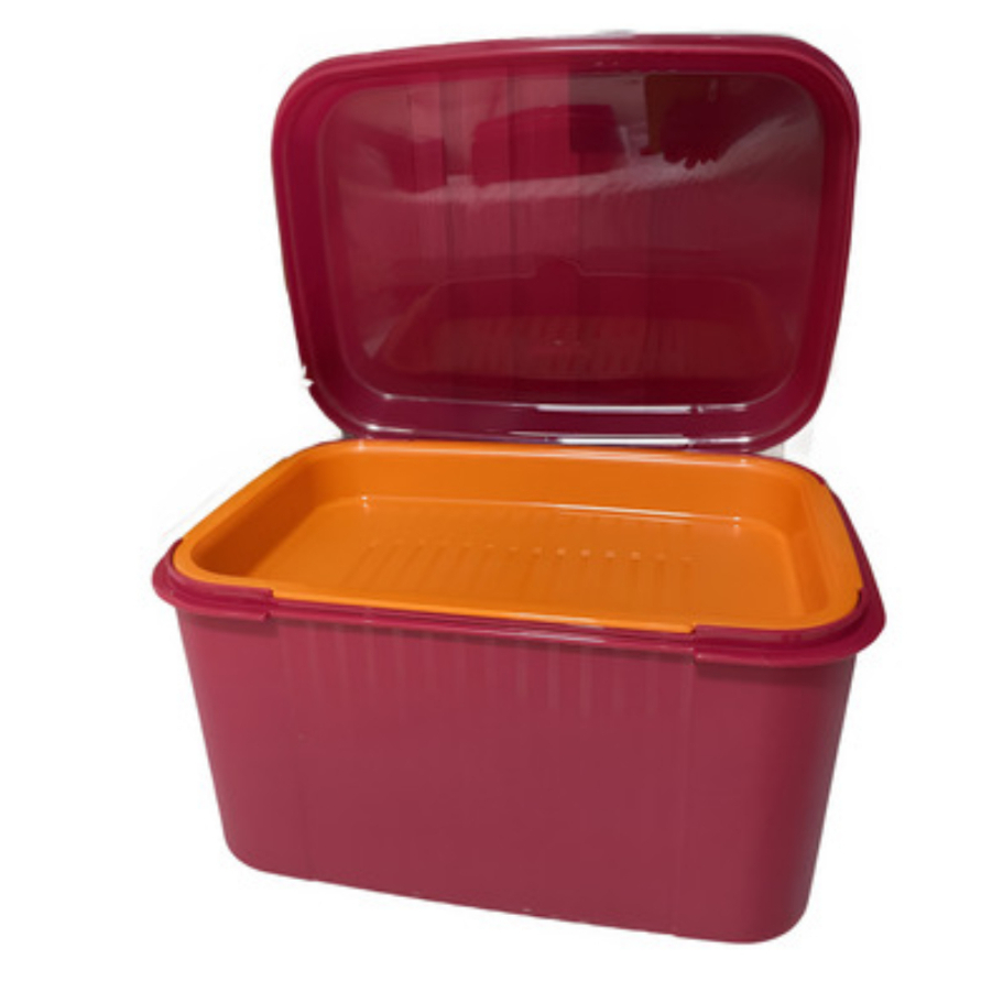 Tupper Caixa Visual Box Tupperware | Shopee Brasil
