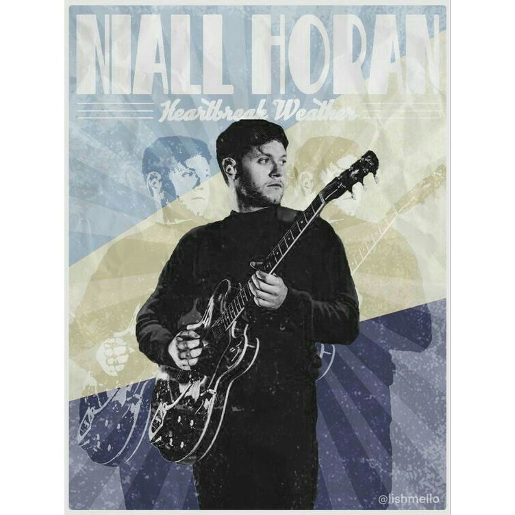 Poster Niall Horan - Cantor - One Direction - Niall Horan | Shopee