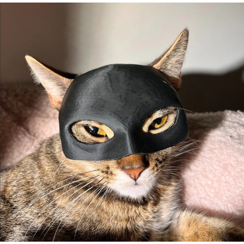 Accesorio Gato Fiestas Divertido Máscara De Murciélago Para Gato (Batman) | Diseño Elegante Y Cómodo | Ideal Para Fiestas Y Fotos Divertidas Máscara De Murciélago Para Felinos