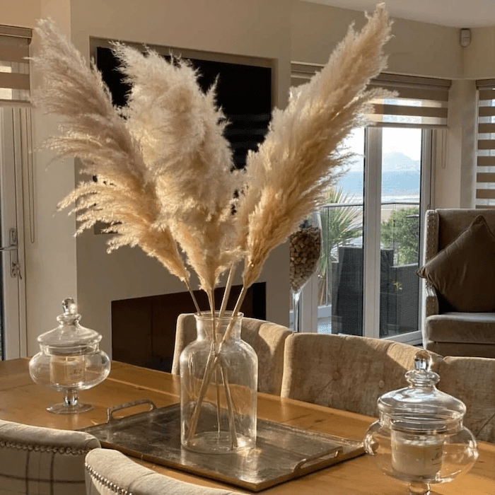 10 Capim dos Pampas Plumas Natural Desidratada Decoração Sala Quarto e ...