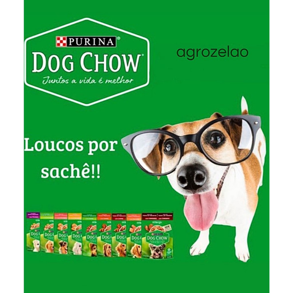Foto de Sache Dog Chow para Cães 100g 15 UNIDADES