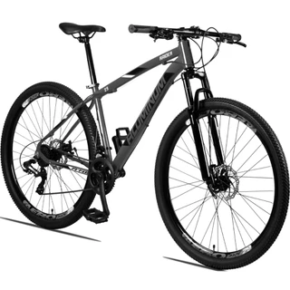 Bicicleta 29 Aluminum Raider 24 Marchas Index Freio a Disco