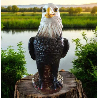 Estatua De Gaviao Em Gesso Espanta Pombos e Passarinhos Para Decoracao De Casa e Jardim