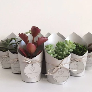 50 Rótulos Mini Suculentas para lembrancinhas Personalizadas com Rótulo e TAG