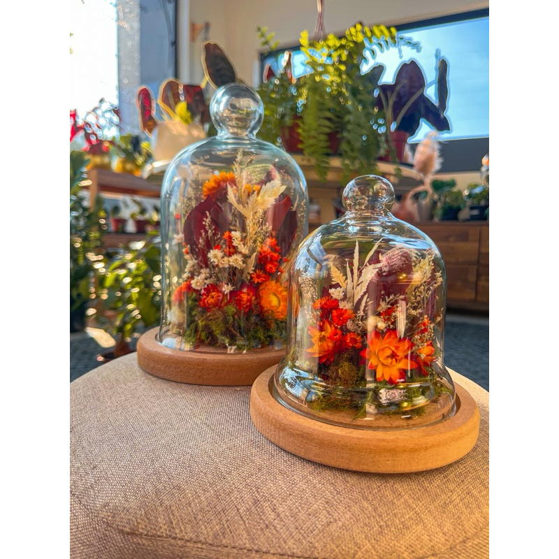 Cúpula/Redoma vidro com arranjo flores desidratadas 22cm altura