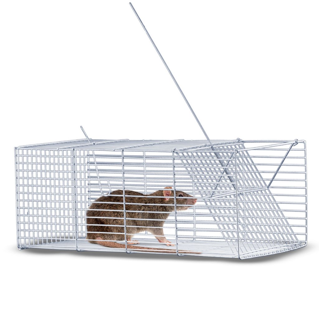 Gaiola Pequena Capturar Pegar Rato Camundongo Não Fere o Animal ...