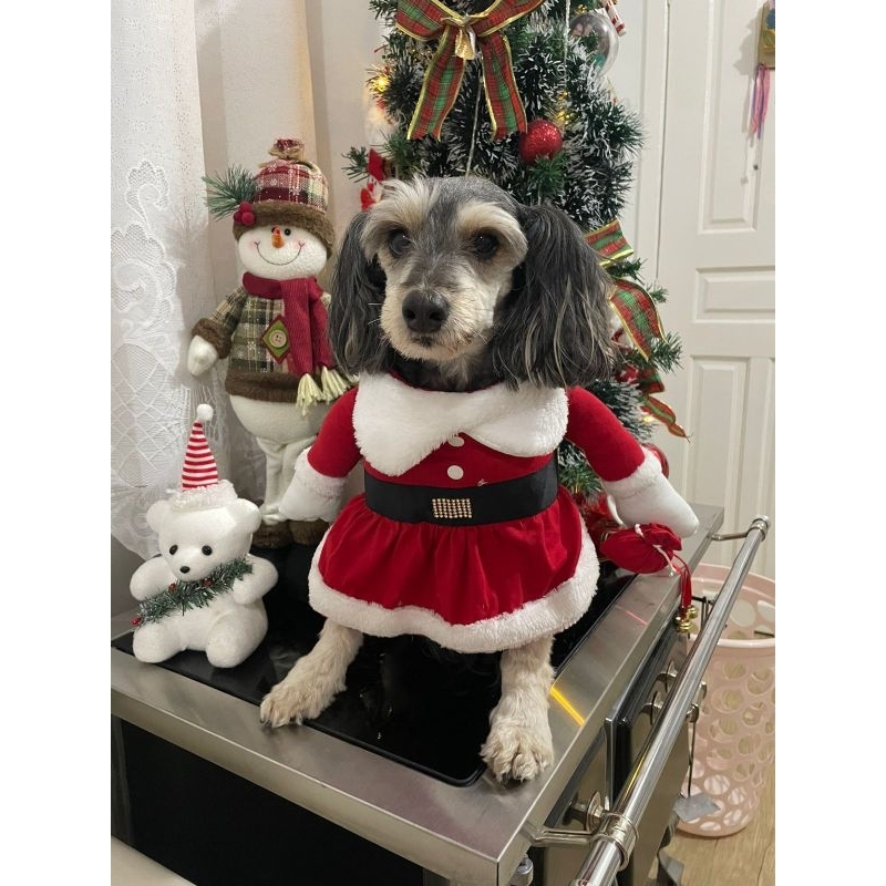 Fantasia roupa papai Noel mamãe Noel 3 D para cães e gatos pequeno médio grande porte