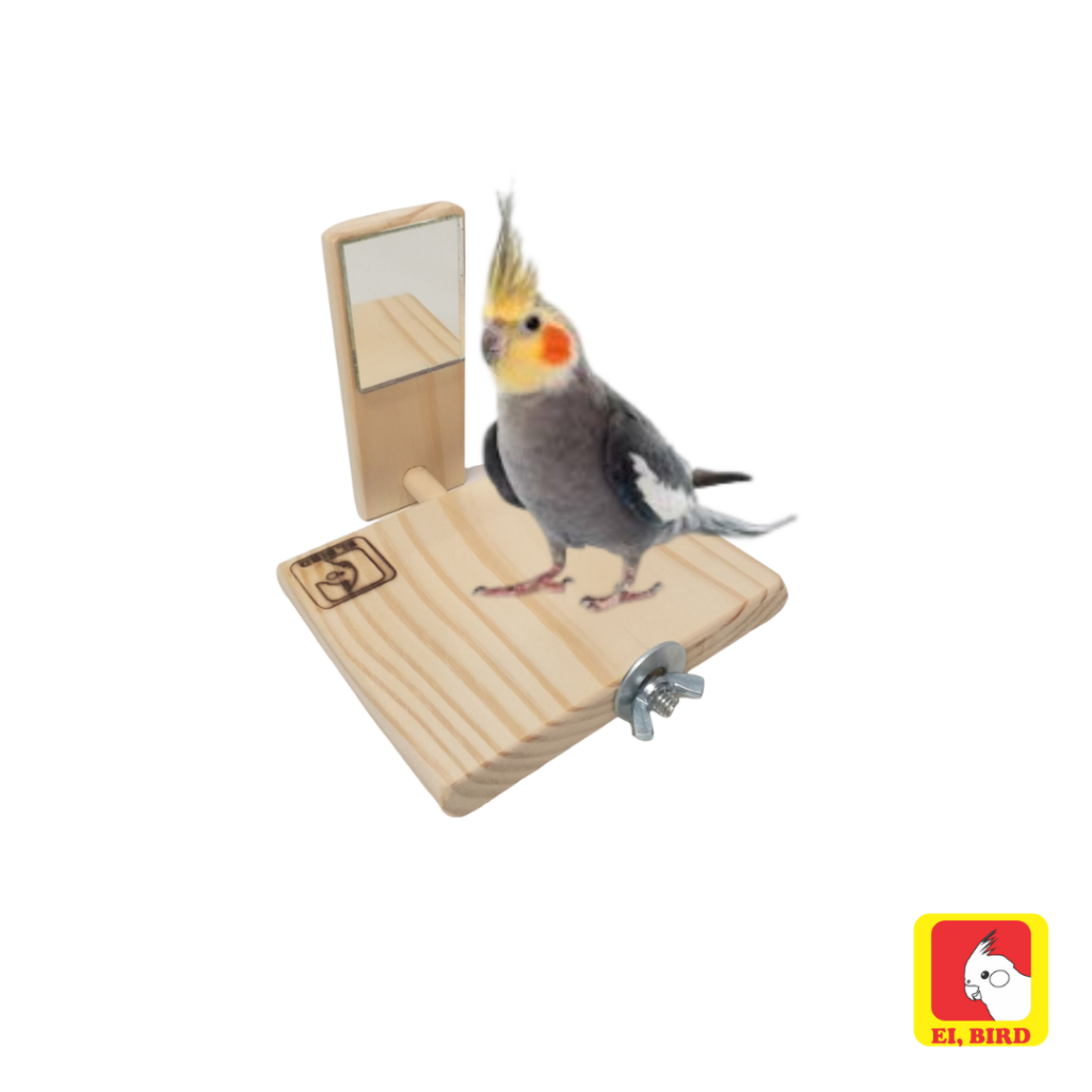 Poleiro Plataforma de Descanso C/ Espelho P/ Calopsita, Papagaio, Agapornis