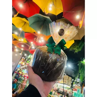 Panetone Gotas Cacau Show 450g (Sem Caixa) em Oferta na Shopee