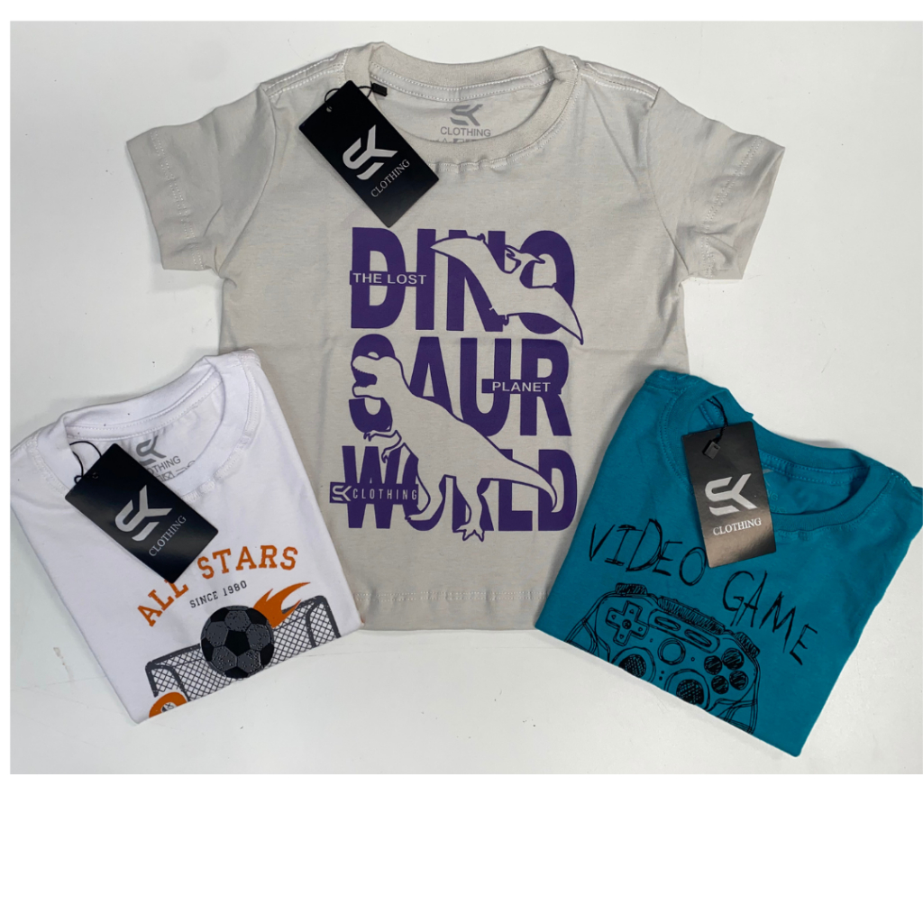 Lote 10 camisetas menino 2 4 6 8 10 12 14 16 masculinas leves