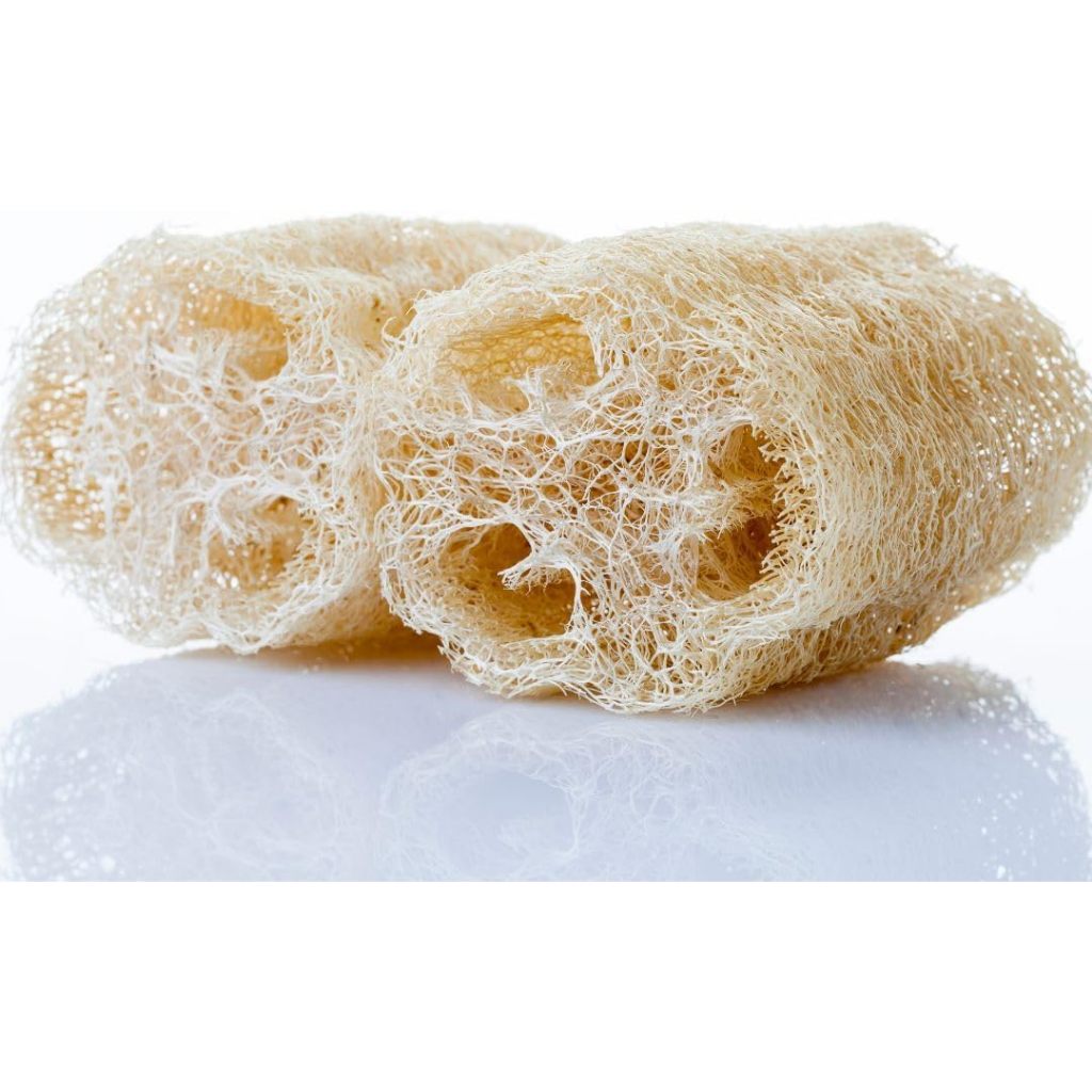 Esponja Bucha Vegetal Natural Banho Esfoliacao 100% Ecológica | Shopee ...