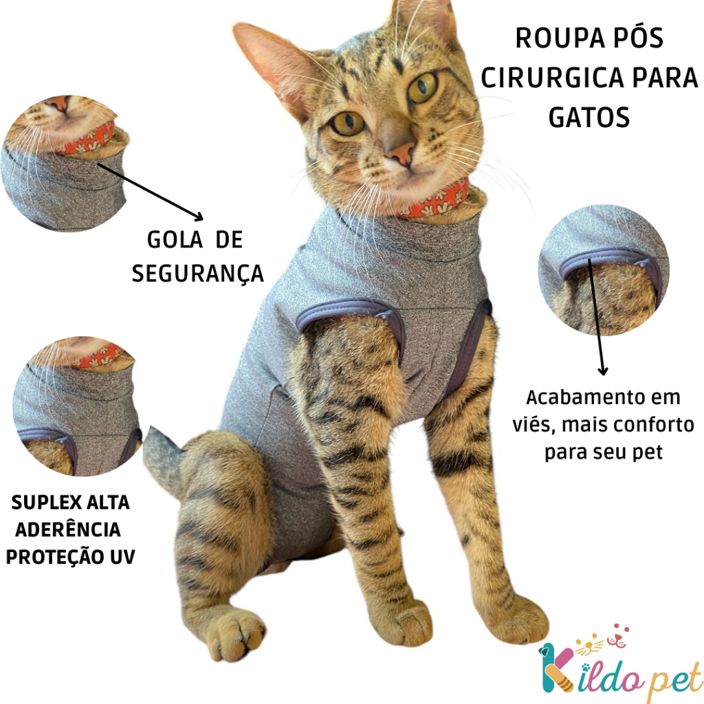 Gatos na Black Friday 2025 | BuscaProdutos