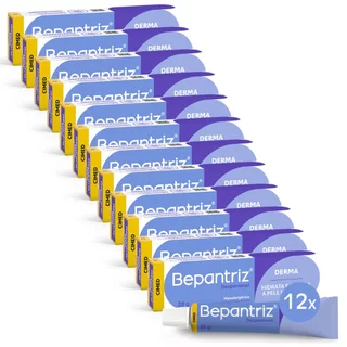 Kit 12 unidades Bepantriz Derma Creme 20g em Oferta na Shopee