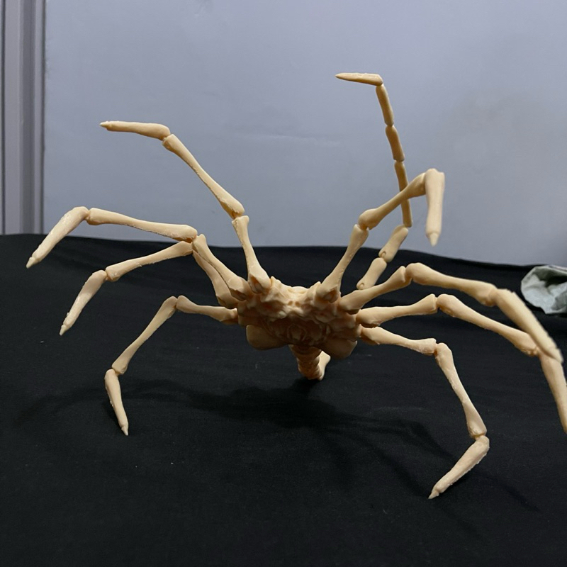 フェイスジェル・ゲル Alien Sheep Facehugger (Alien) | Shopee Brasil