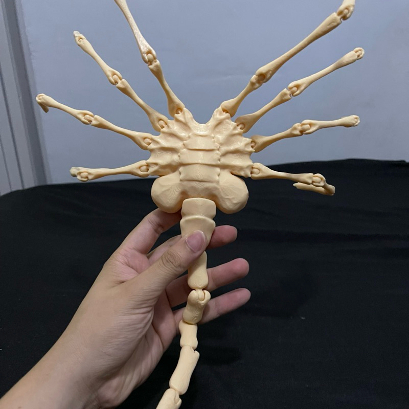 Facehugger (Alien) | Shopee Brasil