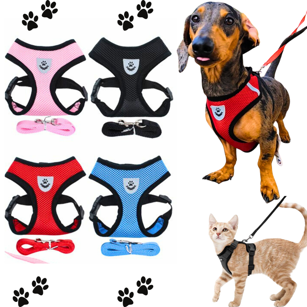 Coleira Peitoral Cachorro Cães Gato Ajustável Refletivo Com Guia Animais Pet Colete Respirável