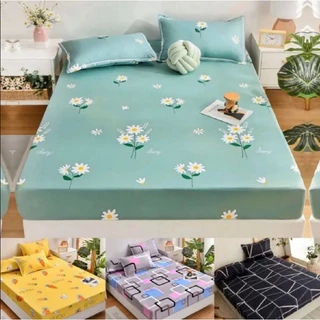 Jogo Lençol 3 Peças Casal Padrão Queen King E Solteiro Kit Lençol C Elástico Roupa Cama Estampada em Oferta na Shopee